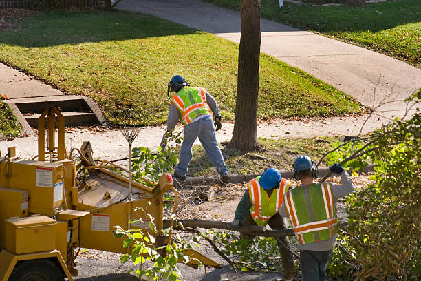 Coson, OK Tree Removal Pros